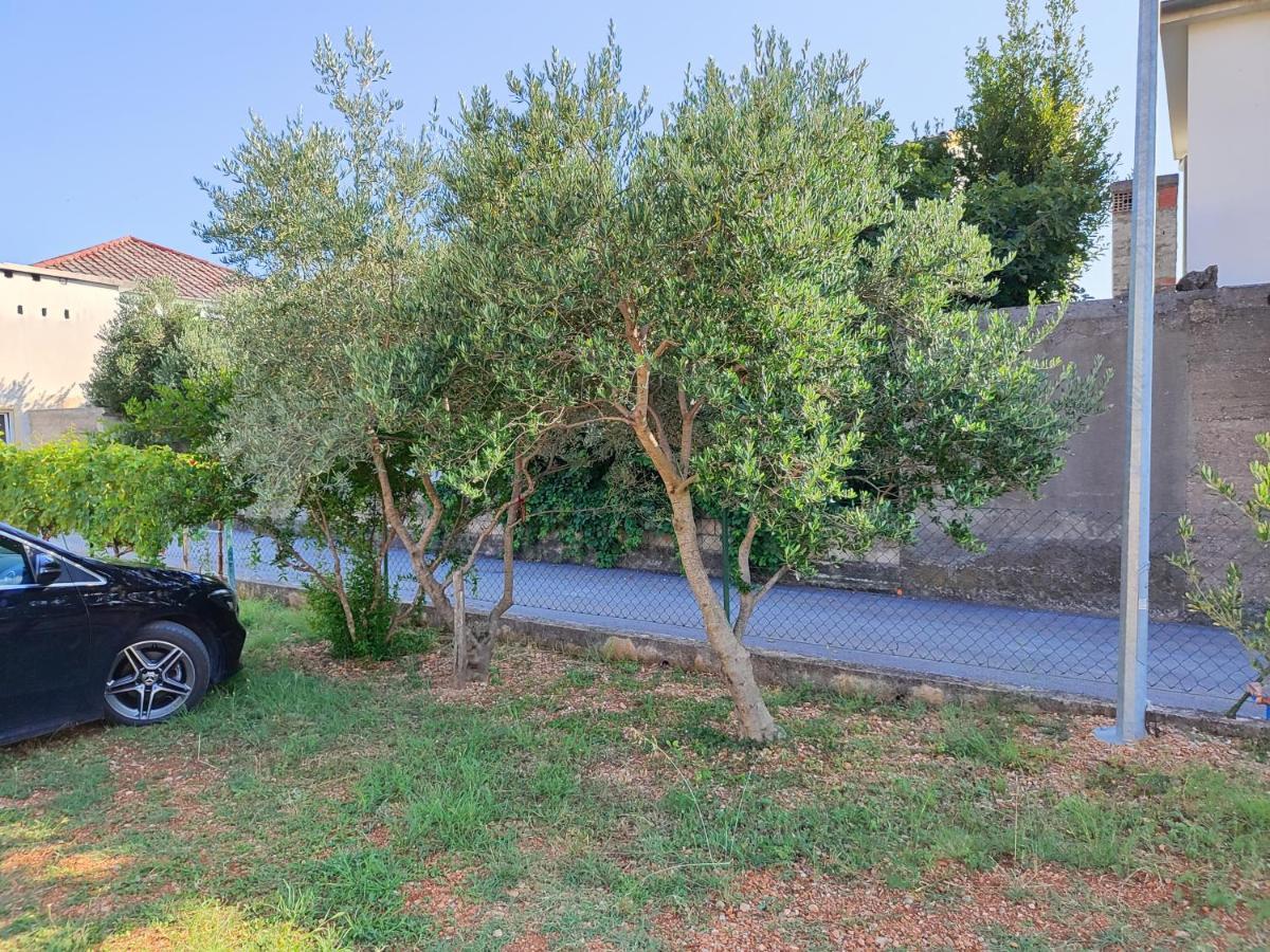 Apartmani Malo More سيلين المظهر الخارجي الصورة